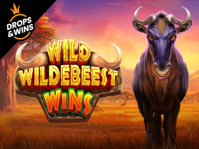 Betcowbrffff.com